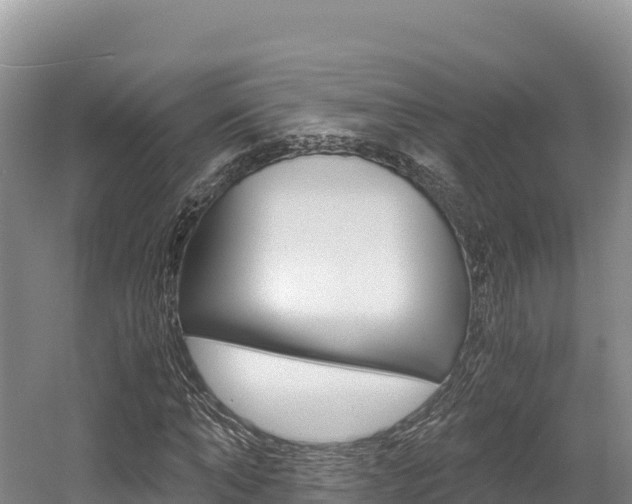 X0000056000870200508190819