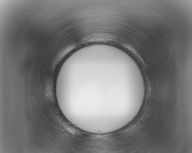 X0000056000874200508190819
