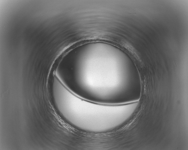 X0000056000876200508190819