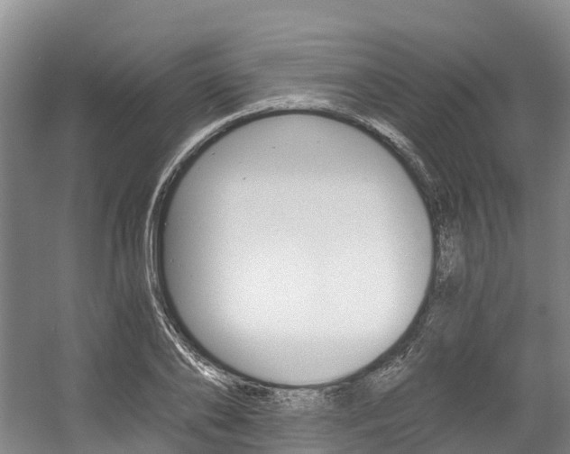 X0000056000886200508190818