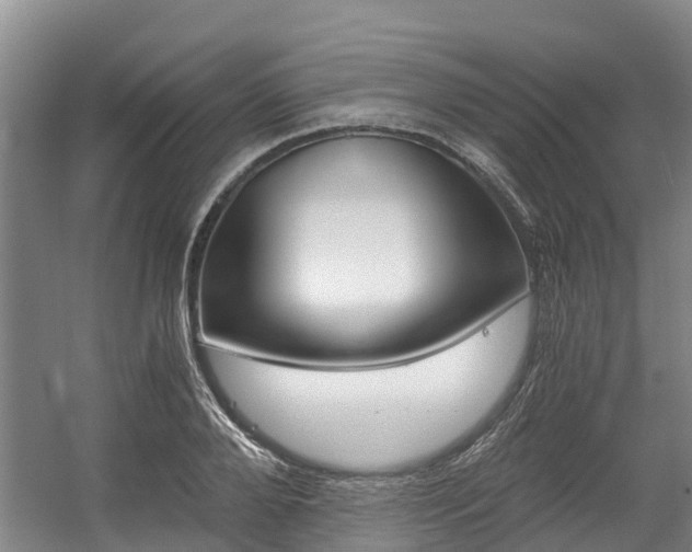 X0000056000888200508190818
