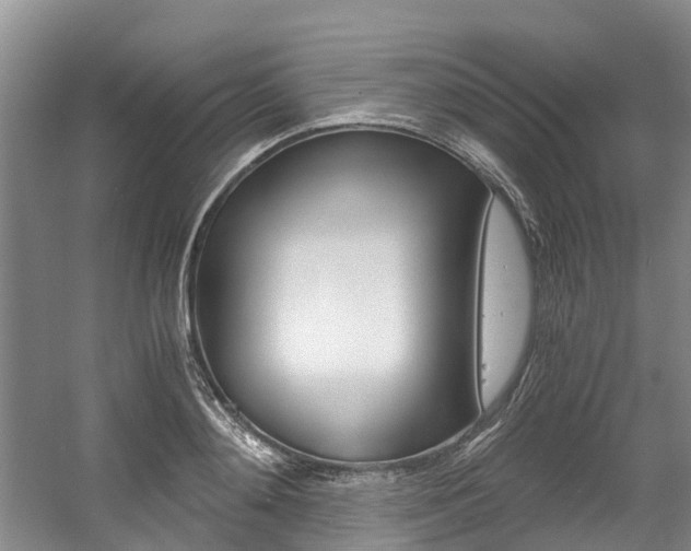 X0000056000892200508190818