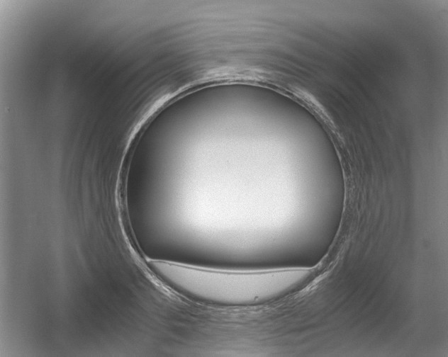 X0000056000893200508190818