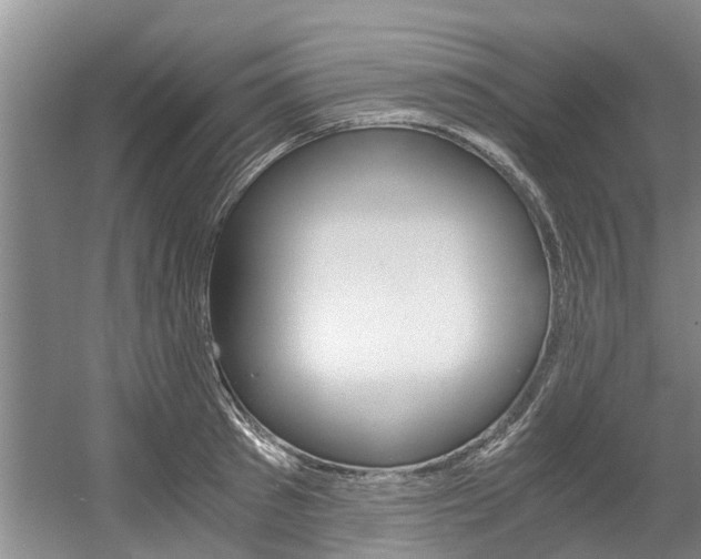 X0000056000897200508190818