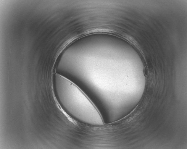 X0000056000898200508190818