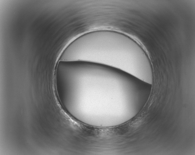 X0000056000903200508190818