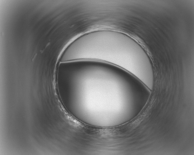 X0000056000904200508190818
