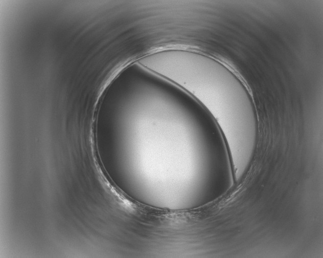 X0000056000906200508190818