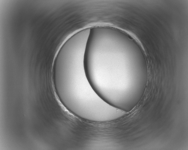 X0000056000911200508190818