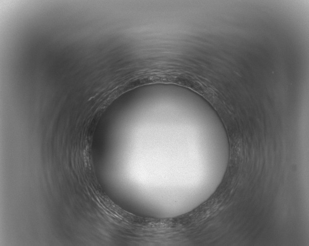 X0000056000914200508190817