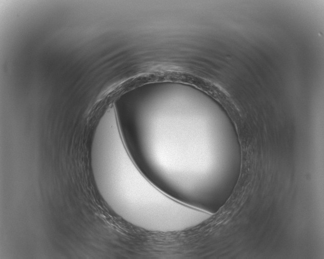 X0000056000919200508190817
