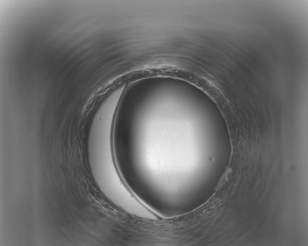 X0000056000920200508190817