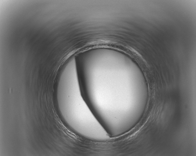 X0000056000921200508190817