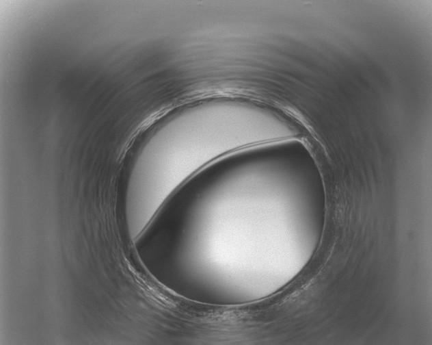 X0000056000922200508190817
