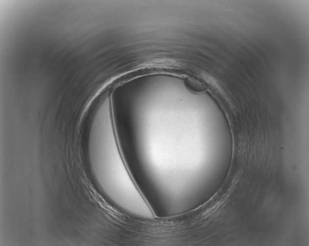 X0000056000923200508190817