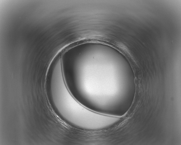 X0000056000924200508190817