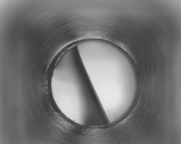 X0000056000926200508190817