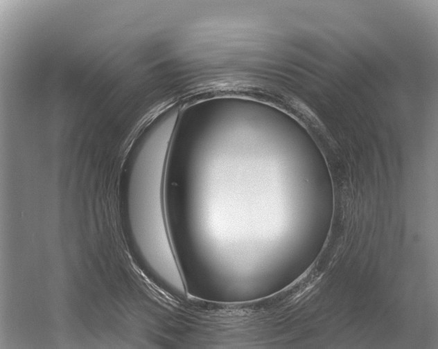 X0000056000930200508190817