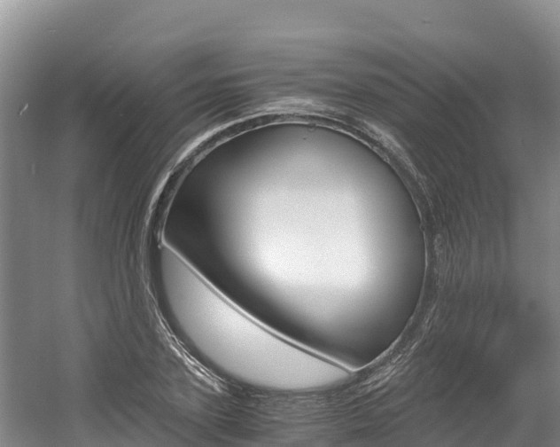 X0000056000931200508190817