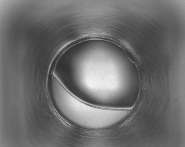 X0000056000932200508190817