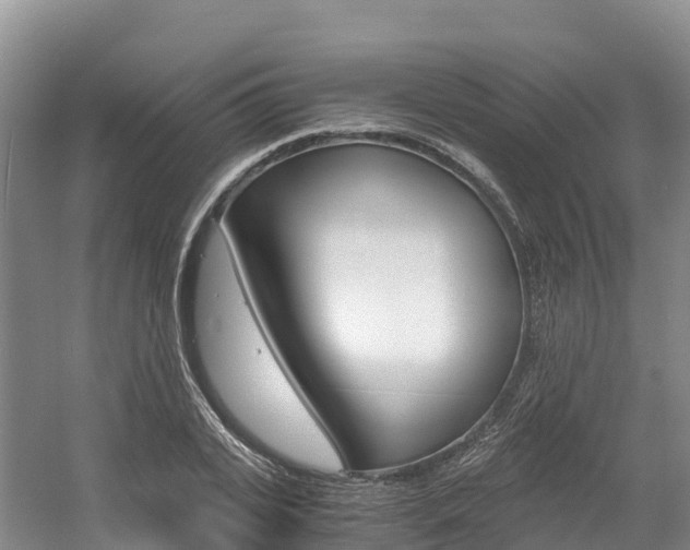 X0000056000935200508190818