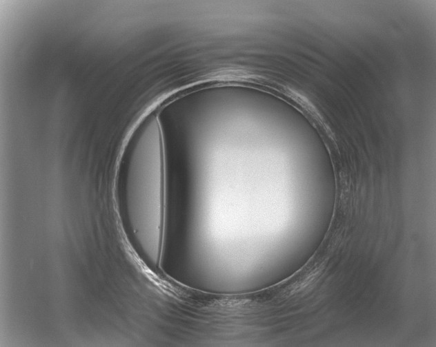 X0000056000939200508190818
