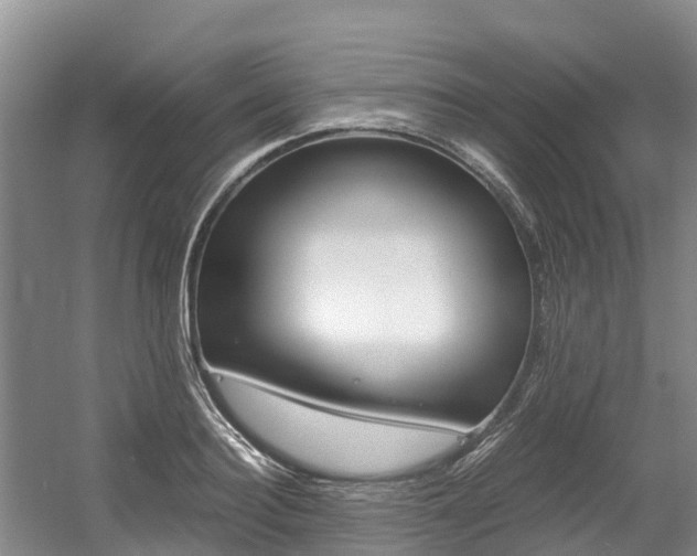 X0000056000940200508190818