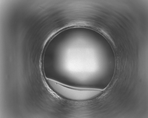 X0000056000944200508190818