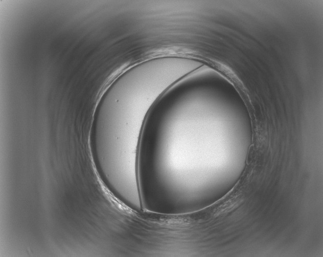 X0000056000946200508190818