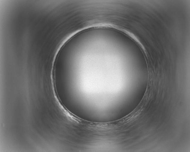 X0000056000959200508190818