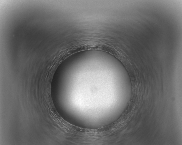 X0000056000961200508190817