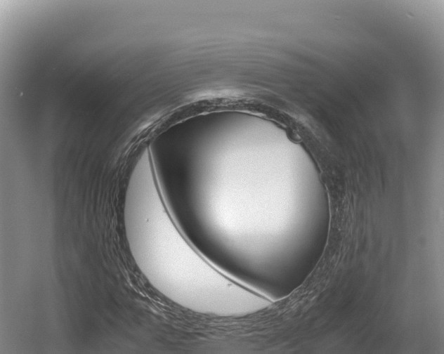 X0000056000967200508190817