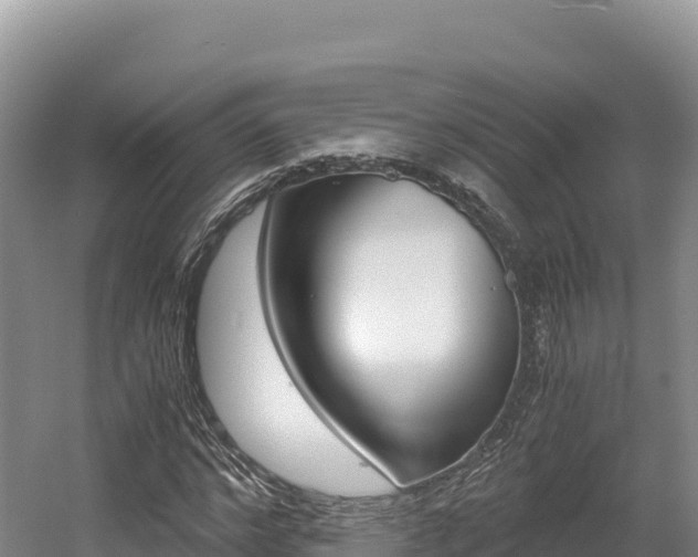 X0000056000968200508190817