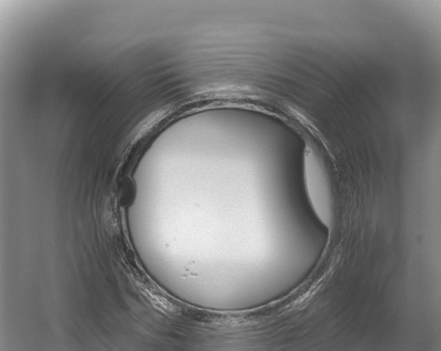 X0000056000970200508190817