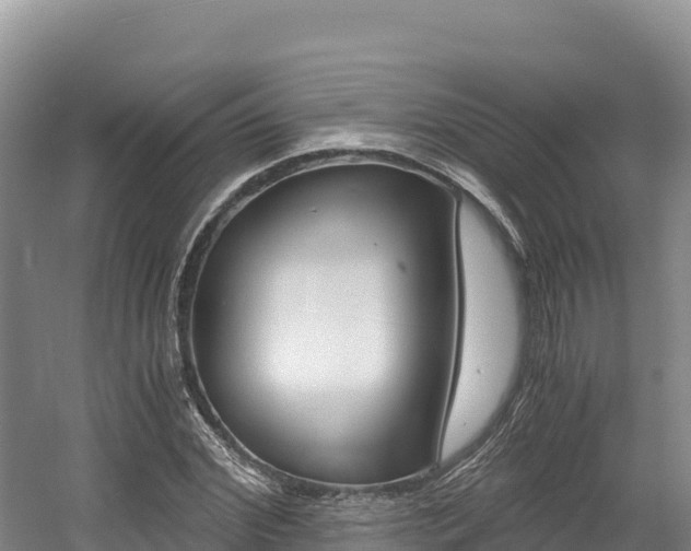X0000056000972200508190817