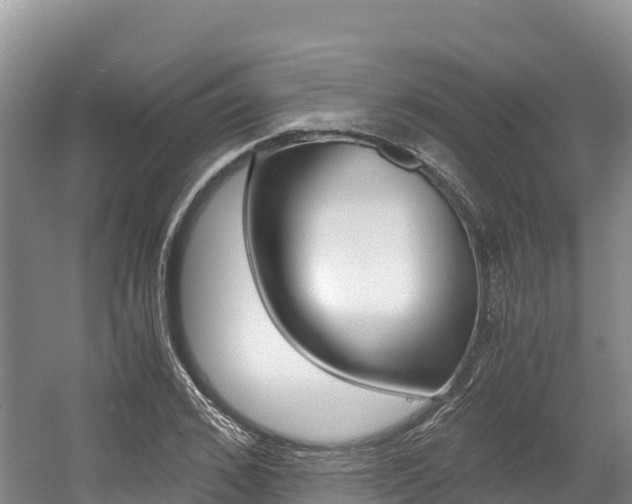 X0000056000976200508190817