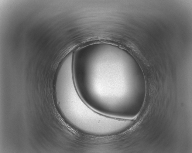 X0000056000977200508190817