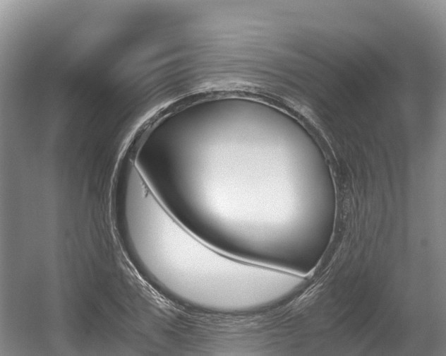 X0000056000979200508190817