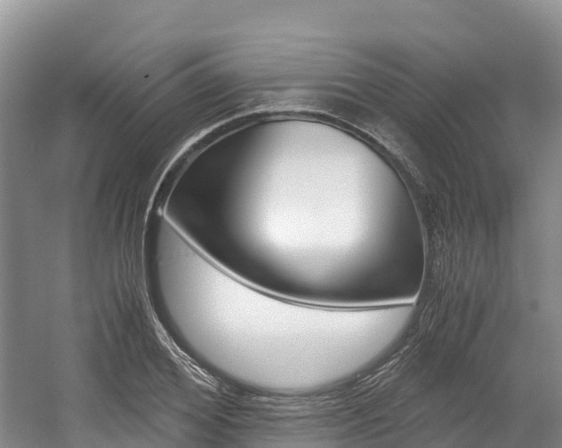 X0000056000980200508190817