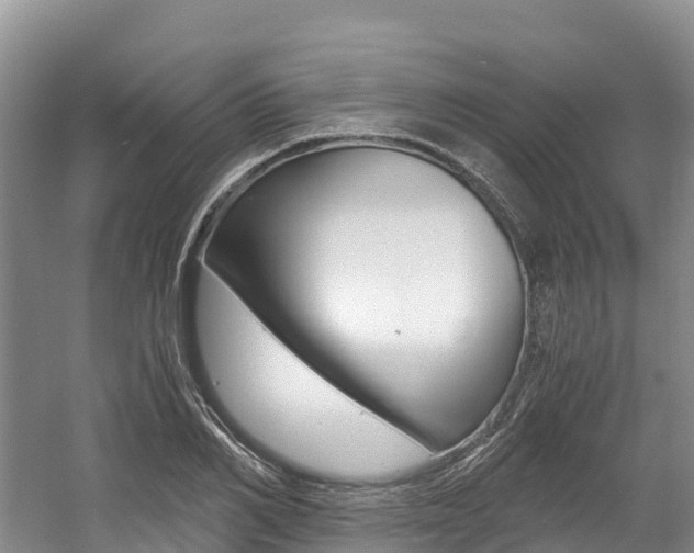 X0000056000982200508190817