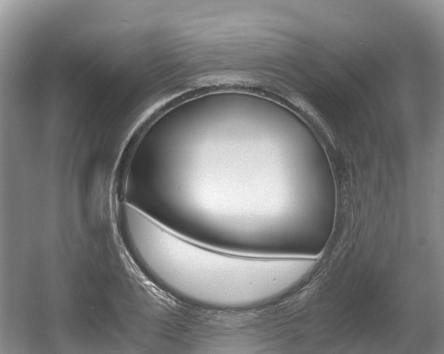 X0000056000983200508190817