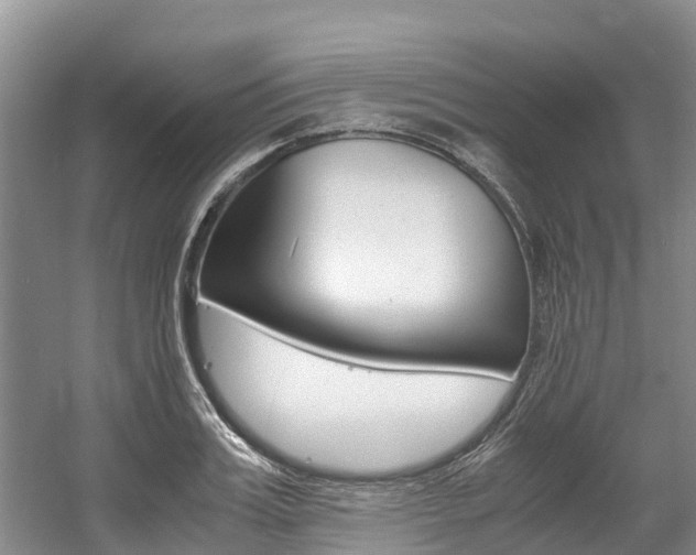 X0000056000987200508190817