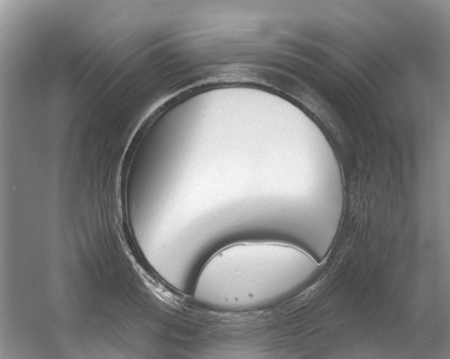 X0000056000988200508190817