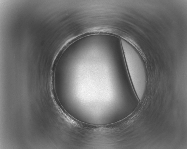 X0000056000992200508190817