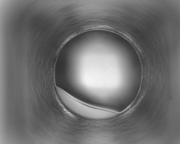 X0000056001001200508190816