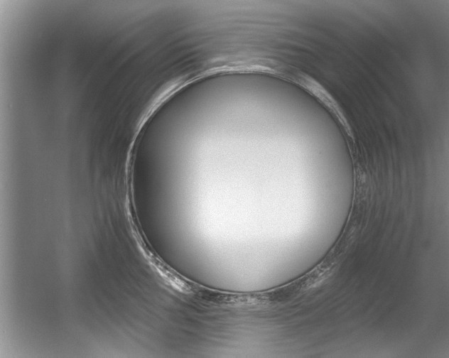 X0000056001002200508190816