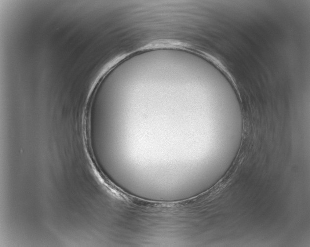 X0000056001003200508190816