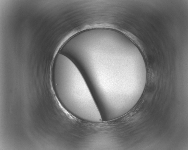 X0000056001006200508190816