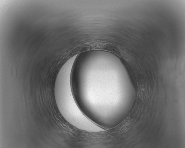 X0000056001010200508190816
