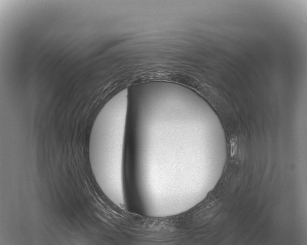 X0000056001011200508190816
